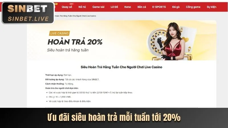 Ưu đãi và sự kiện độc quyền cho VIP shbet
